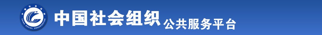 大骚逼视频全国社会组织信息查询